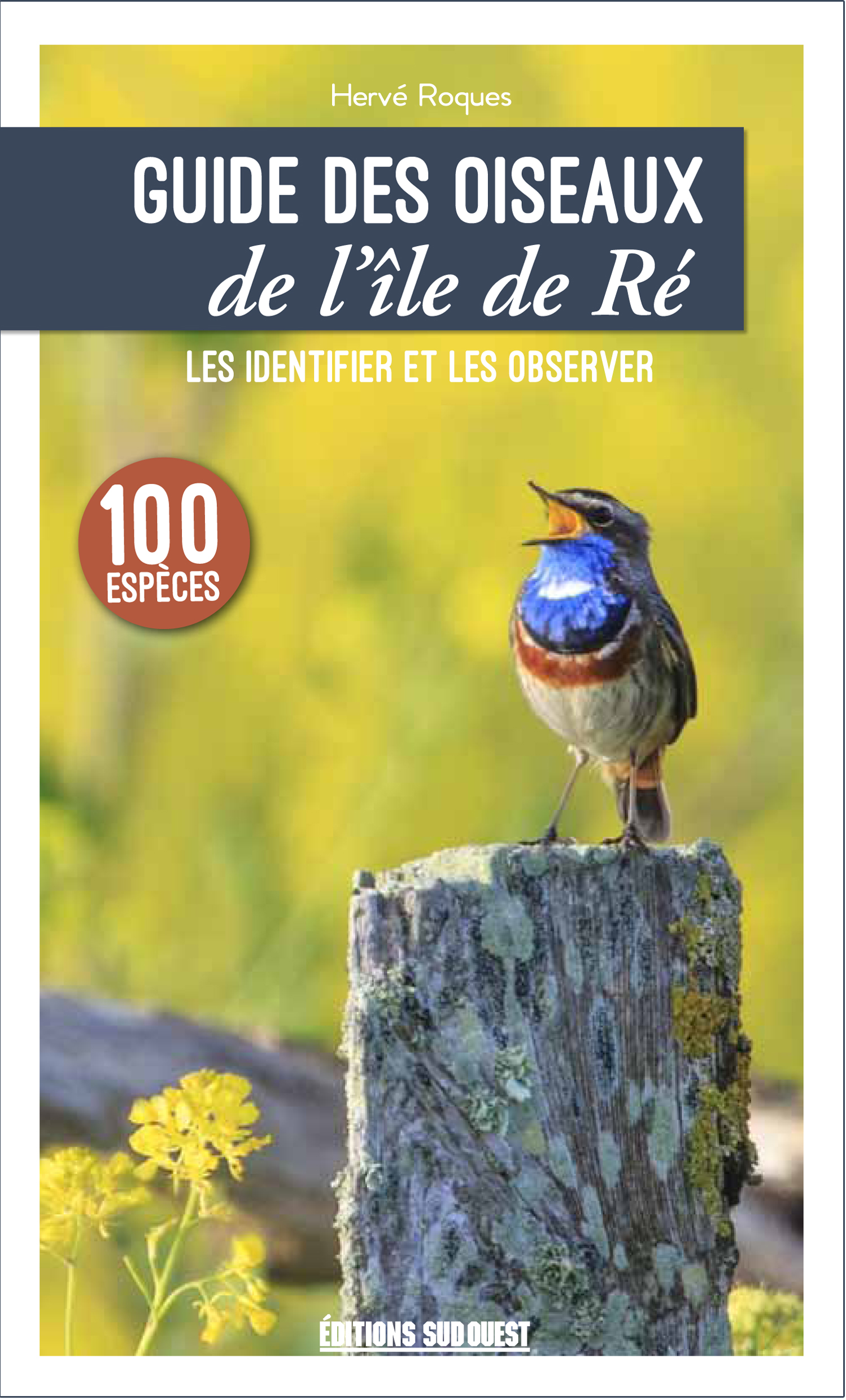 Guide Des Oiseaux De L Ile De Re Editions Sud Ouesteditions Sud Ouest